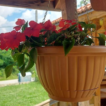 Mini Complex Rilski Terasi Сапарева-Баня Экстерьер фото