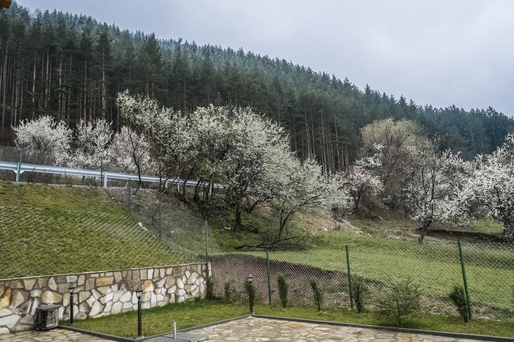 Mini Complex Rilski Terasi Сапарева-Баня Экстерьер фото